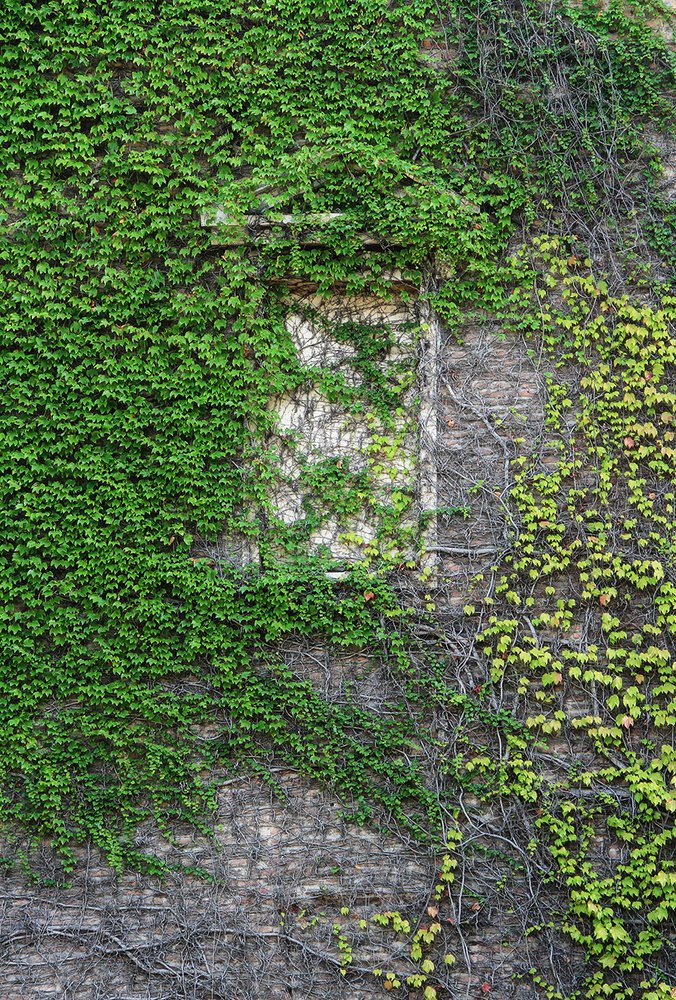 Лесной домик