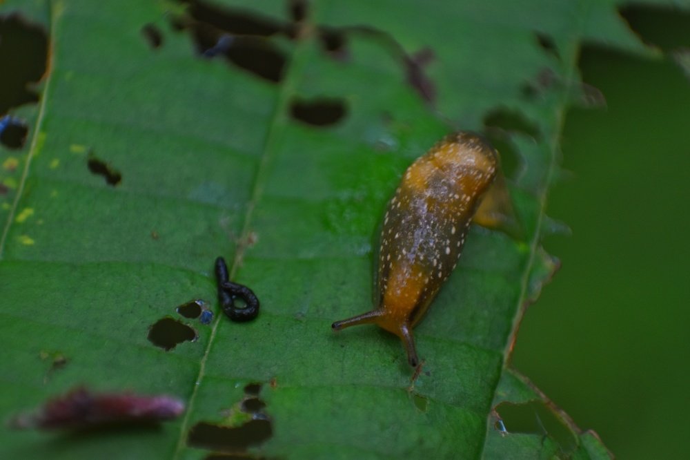 Photograph by naser abdolvand