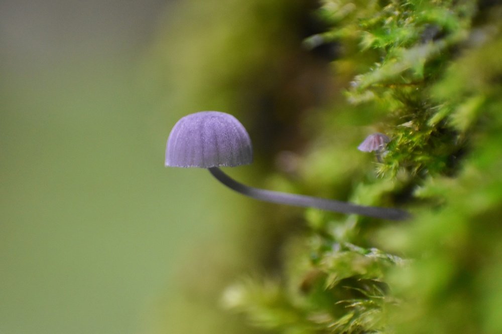 Photograph by naser abdolvand