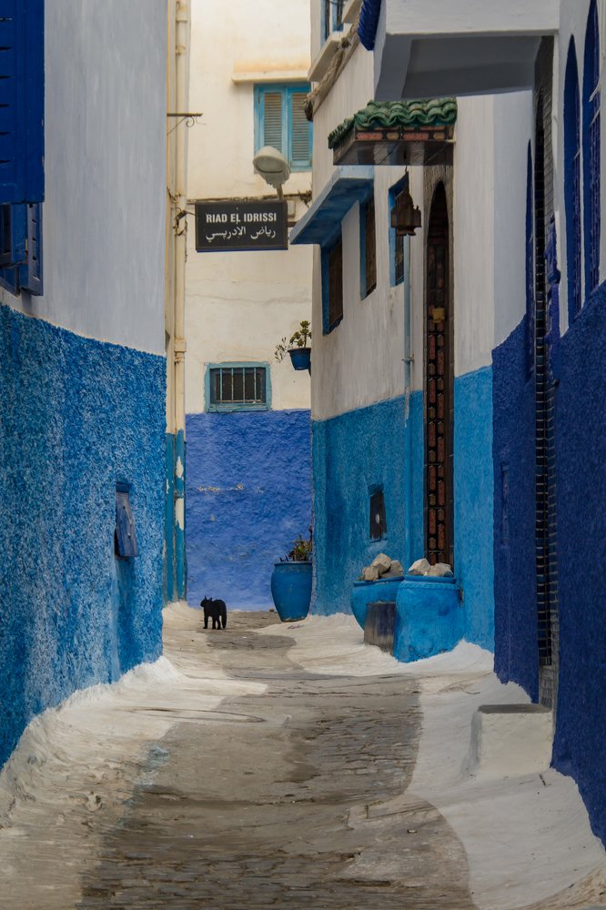 Photograph by Светлана Саиди