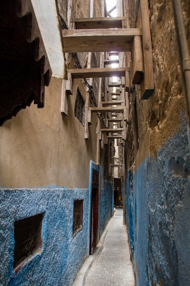 Photograph by Светлана Саиди