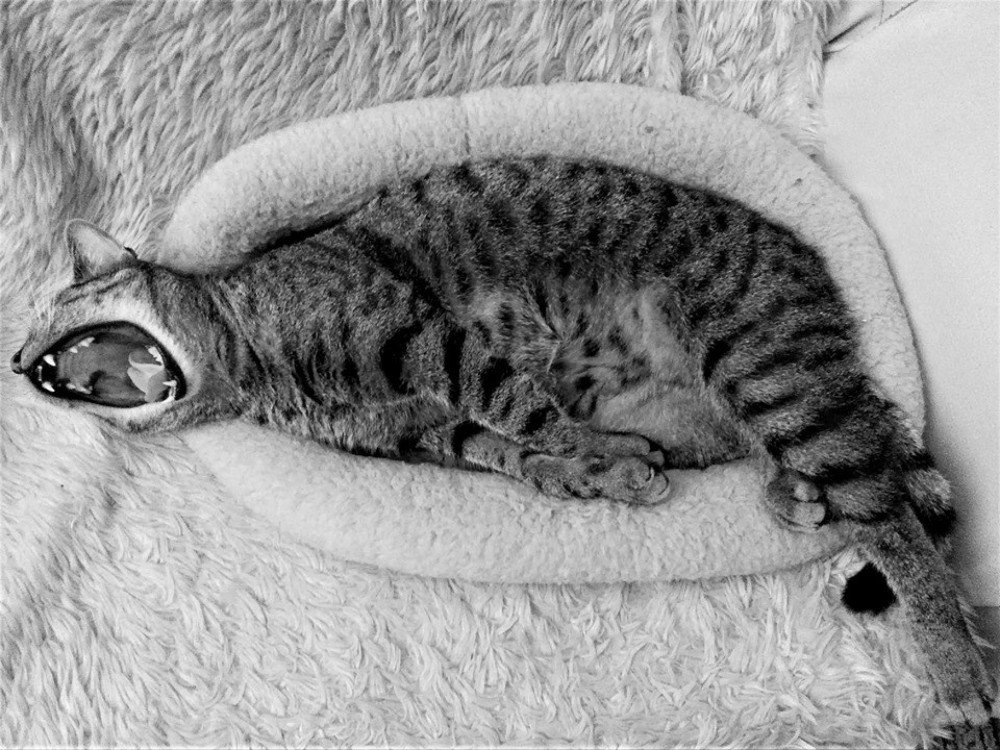 Спокойной ночи всем!