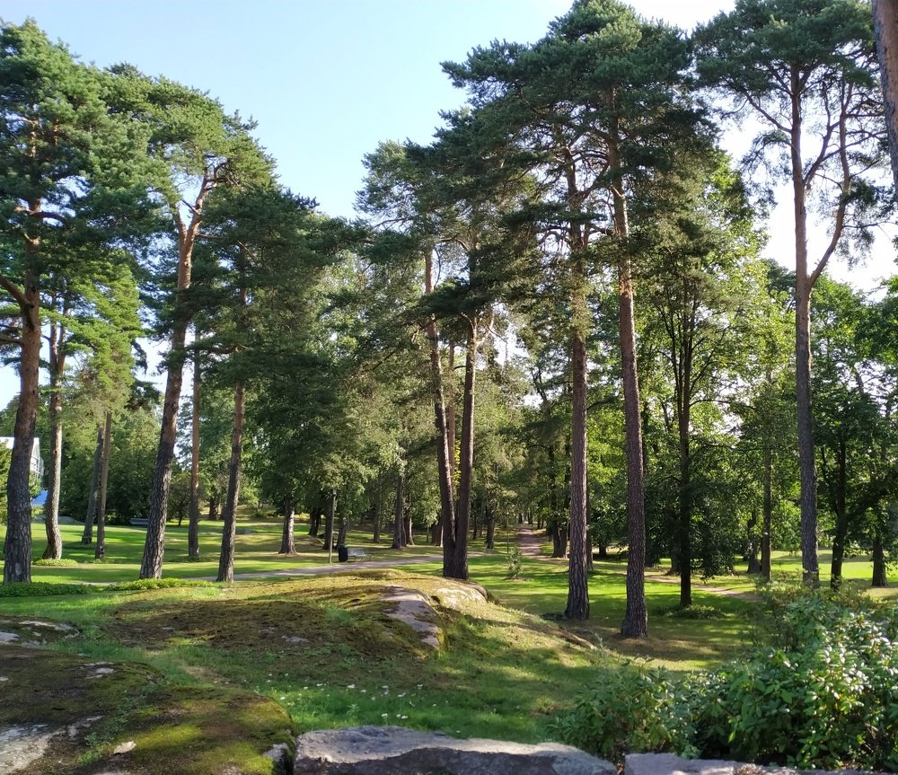Photograph by София Алькасем