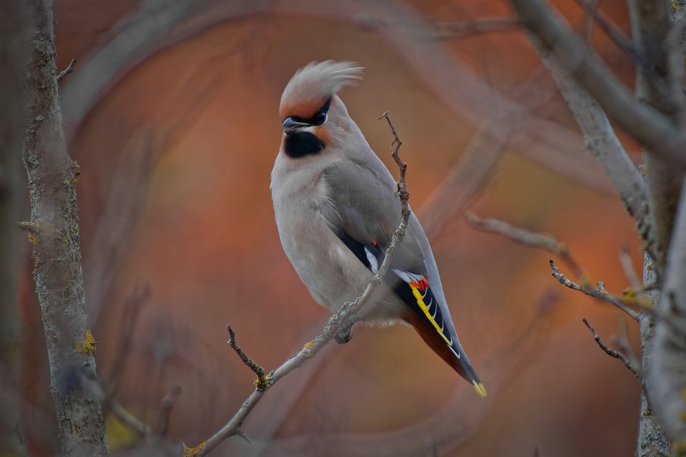 Photograph by Анатолий Калмыков