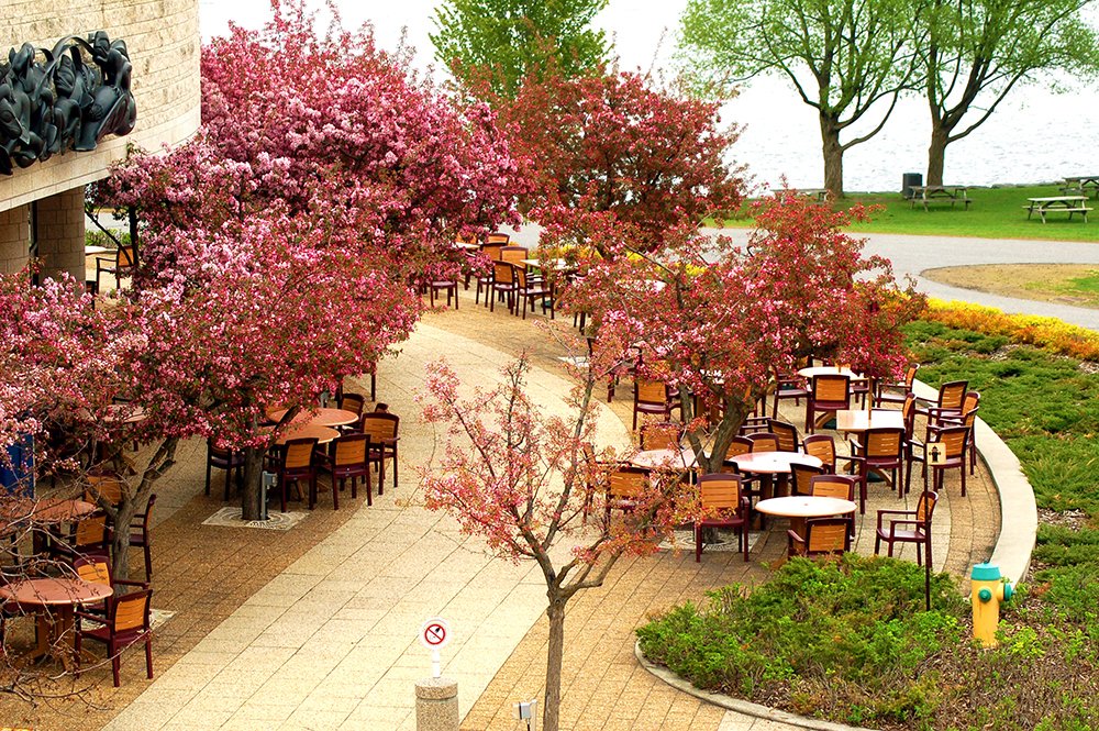 Photograph by Liliana Grup