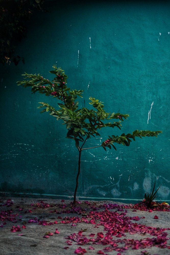 Photograph by Ольга Трошина