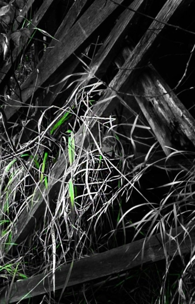 Живая смерть