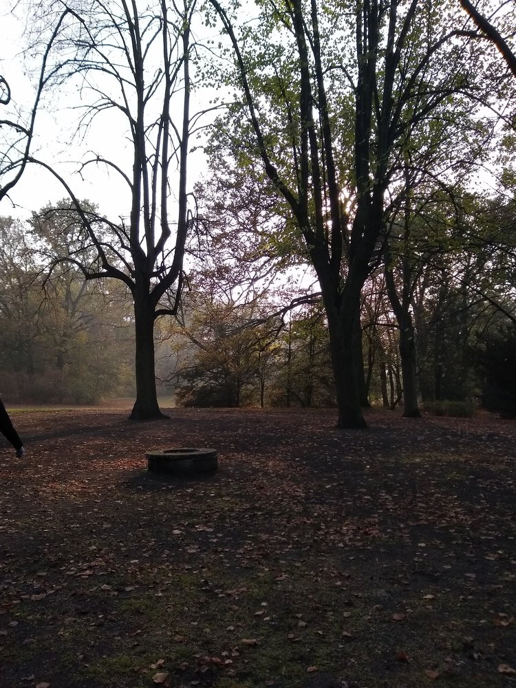 Photo #3814018