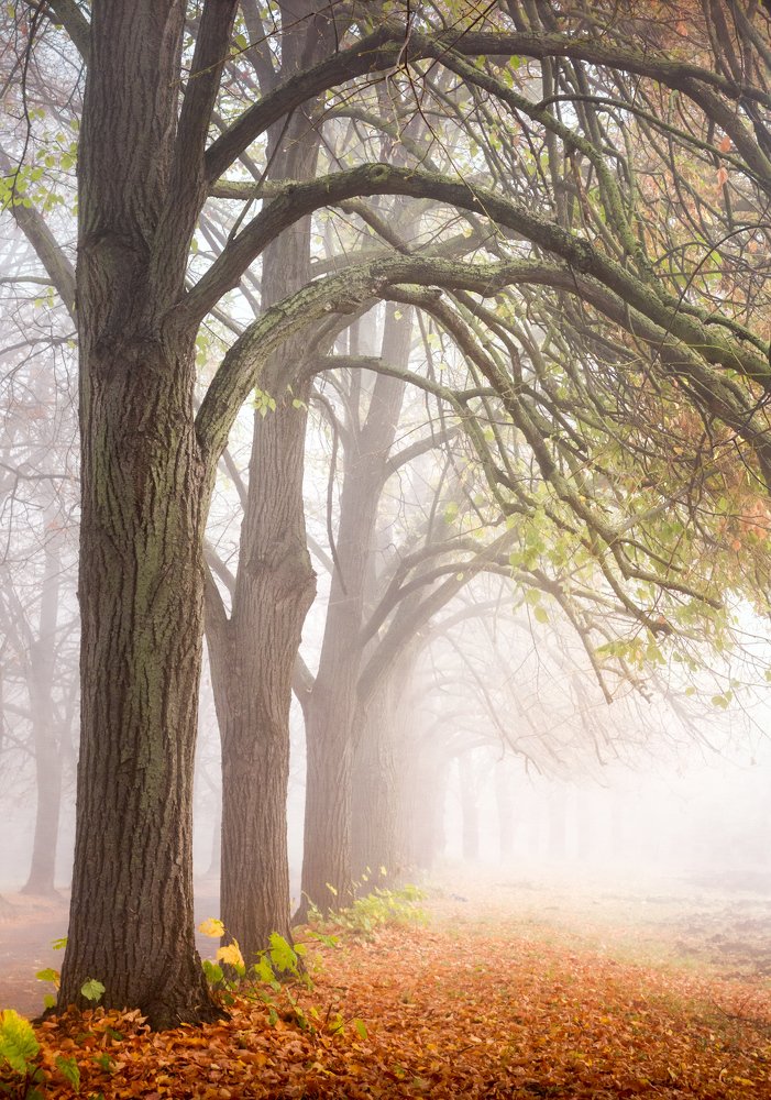 Photograph by Aнтон Кононов