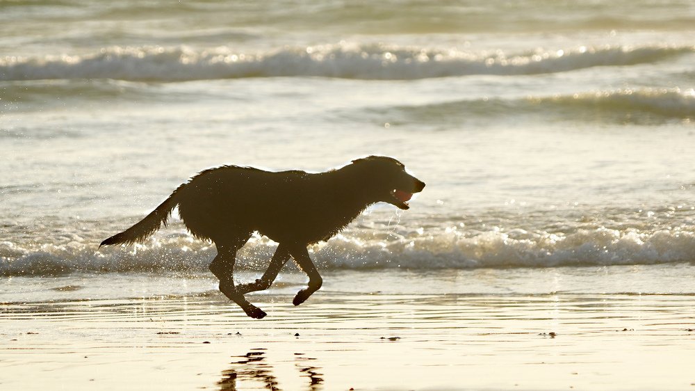 Photograph by Ting Laogonggong