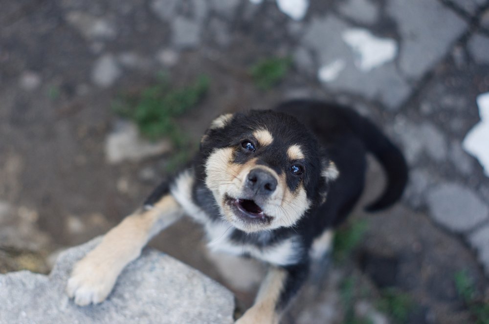 Photograph by Игорь Юркивский