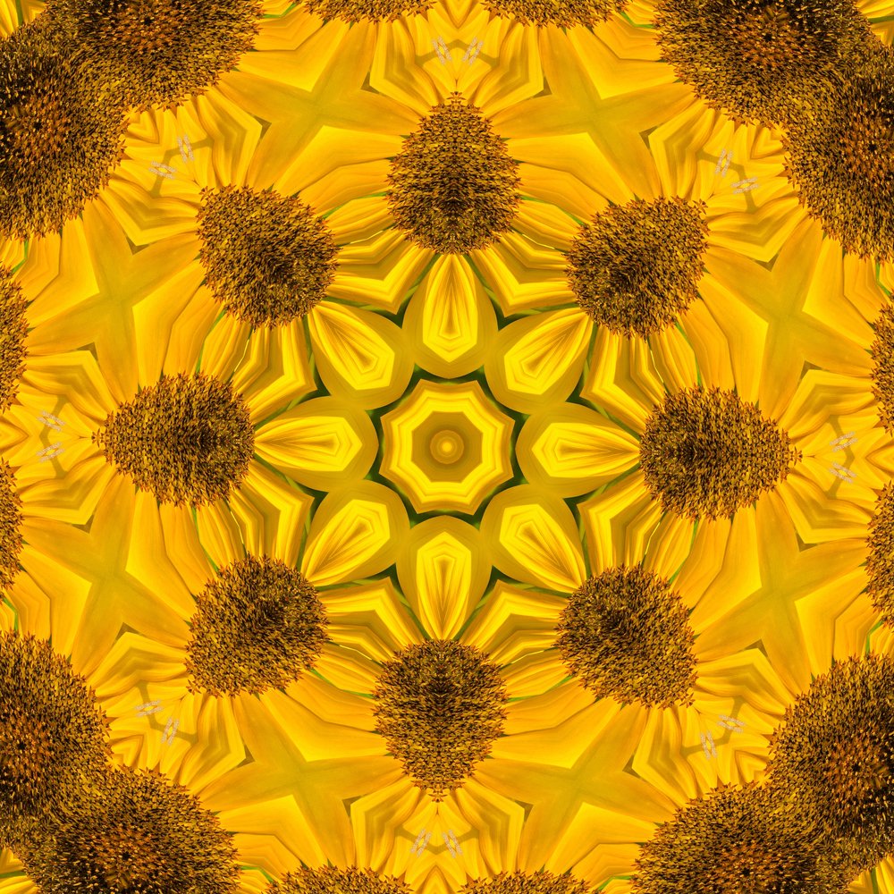 Photograph by Hans-Jürgen Hinz