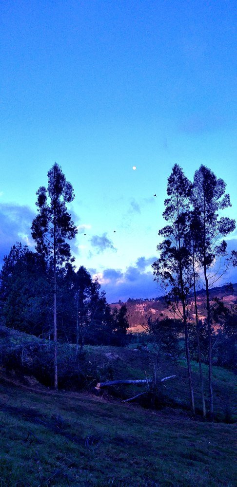 Photo #3814287