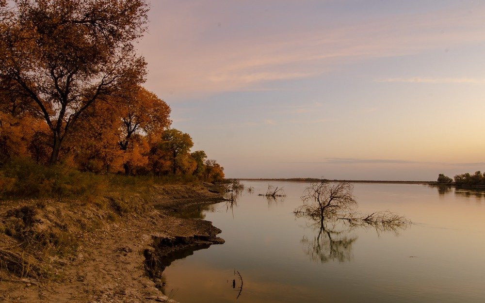 Photograph by Александр Грищенко