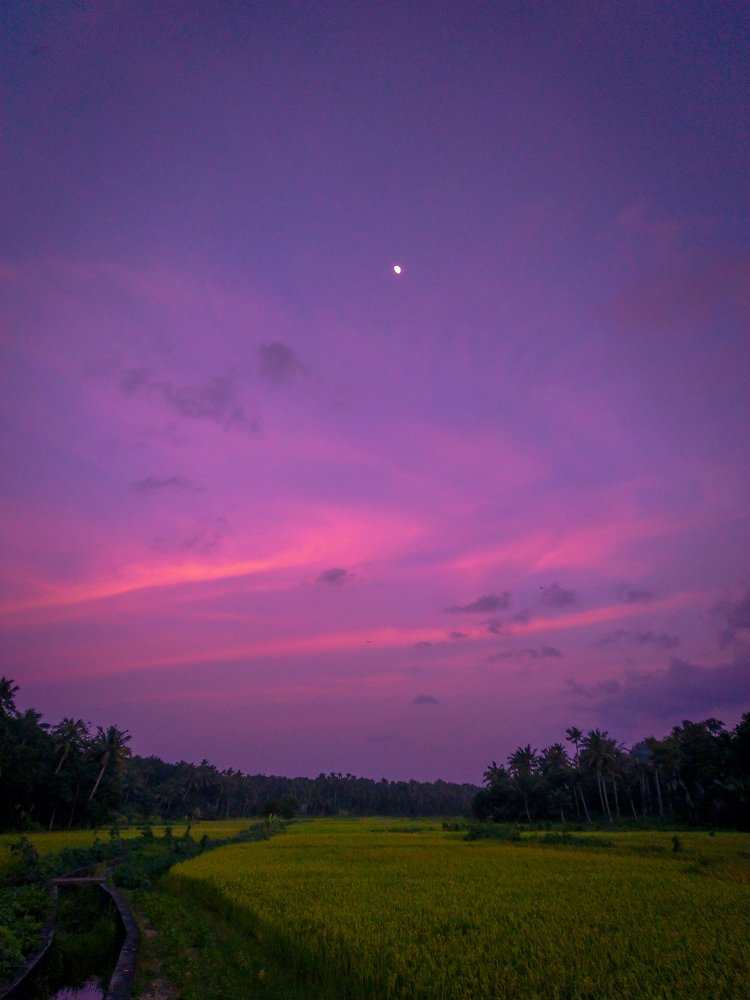 Photograph by Harisankar B