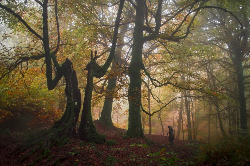 Photograph by Noshen Asadi Moghaddam