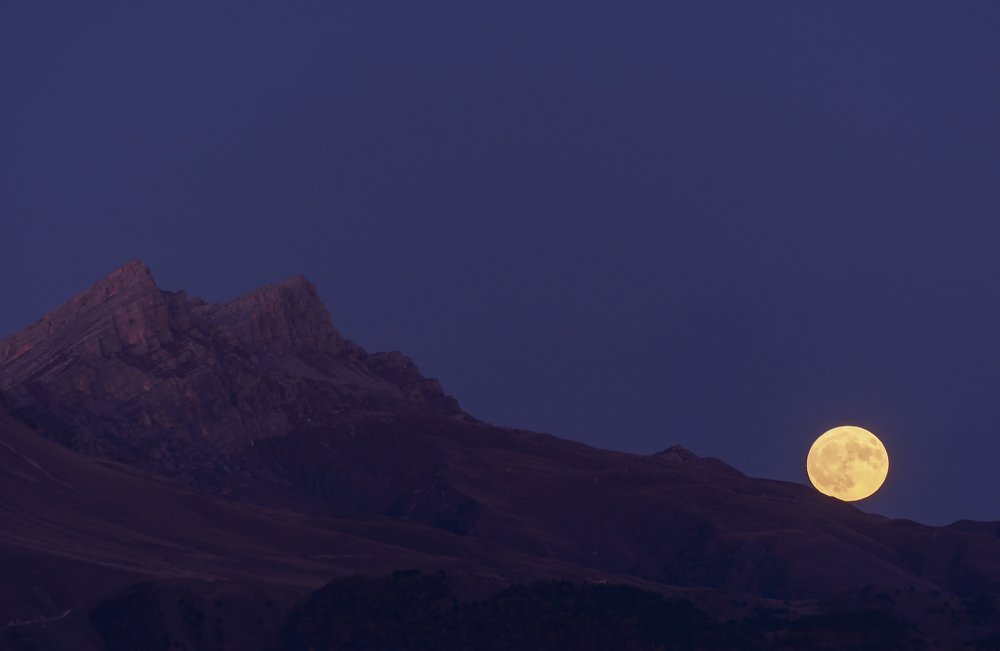 Photograph by Дмитрий Новоселов