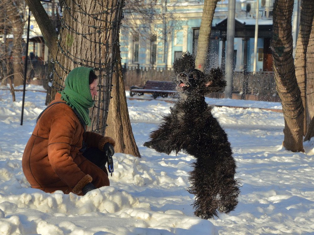 Игра в снежки