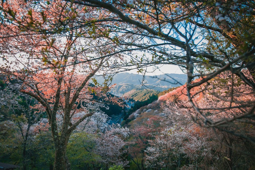 Photograph by Семён Муратов