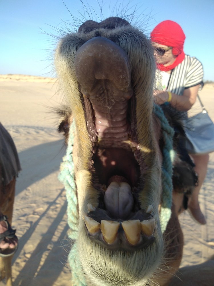 Photograph by Екатерина Максименко