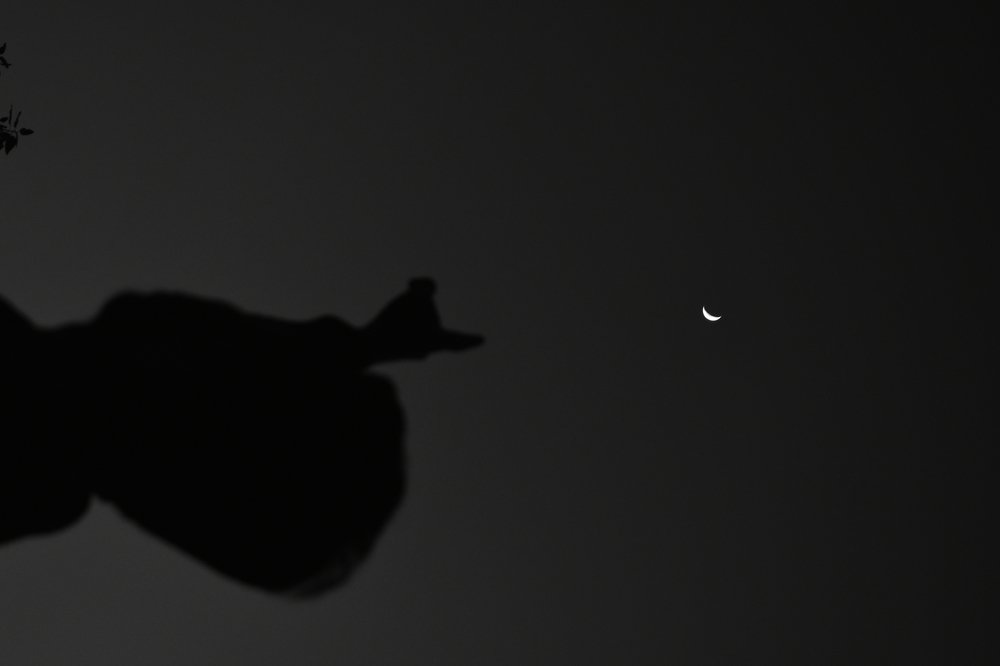 Photograph by Mohammad Sadegh Vasiei