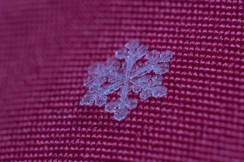 Photograph by Дина Горбачёва