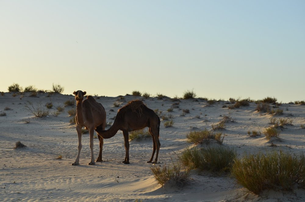 Photograph by Екатерина Максименко