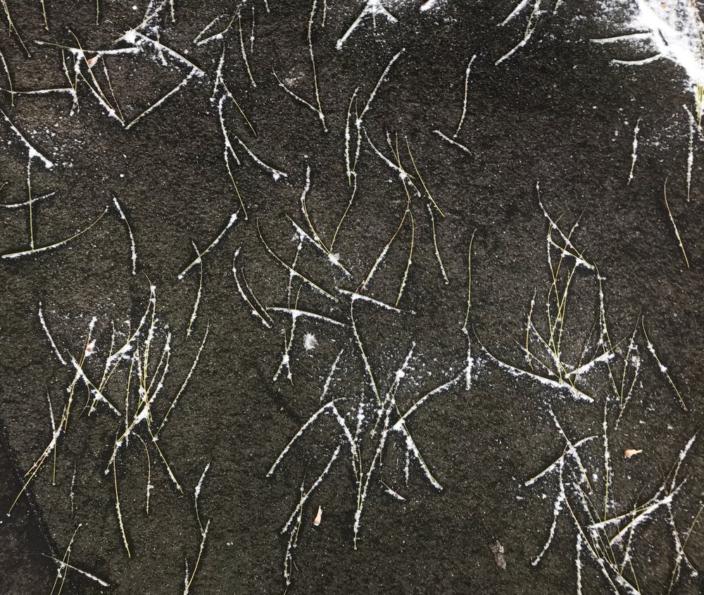 Природные паттерны