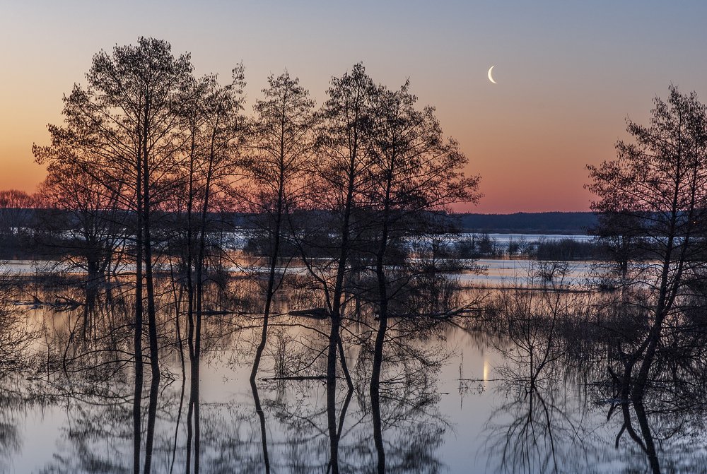 Photograph by Дмитрий Новоселов