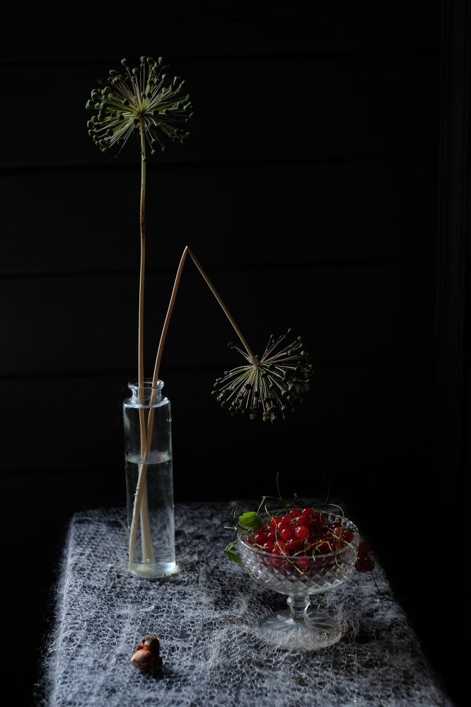 Натюрморт с красной смородиной