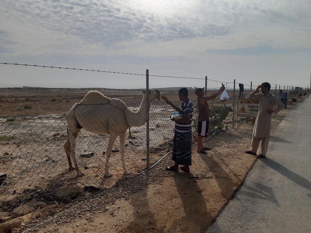 its a selfeefood time.