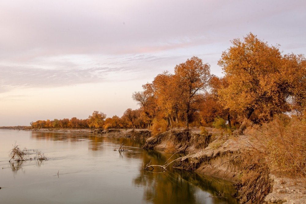 Золотая осень