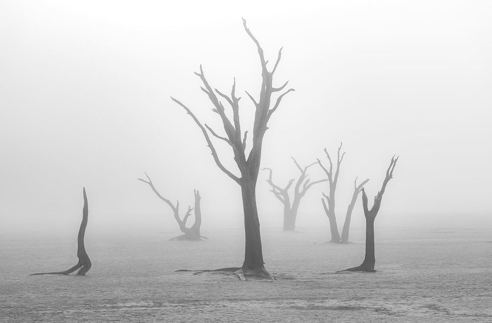 Photograph by Евгений Бушков