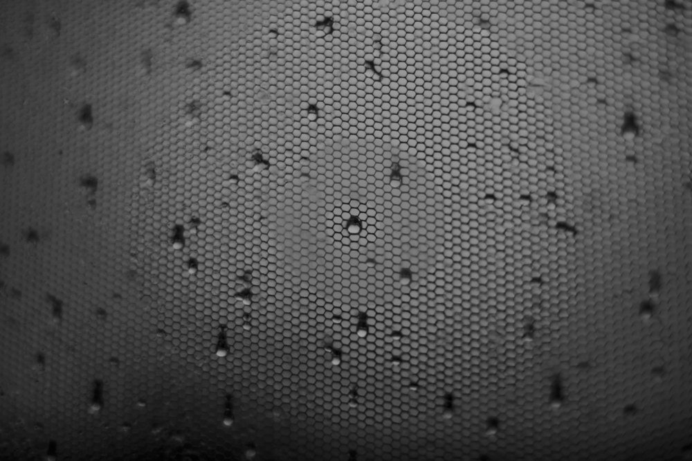 Photograph by Екатерина Будько