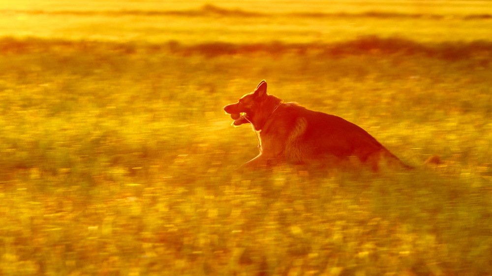 Photograph by Юлия Долгина