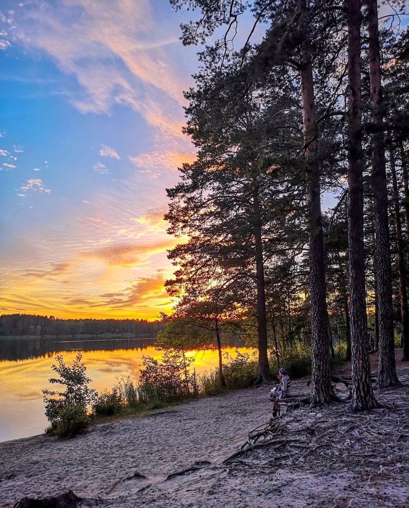Девушка, семечки и золотой закат...