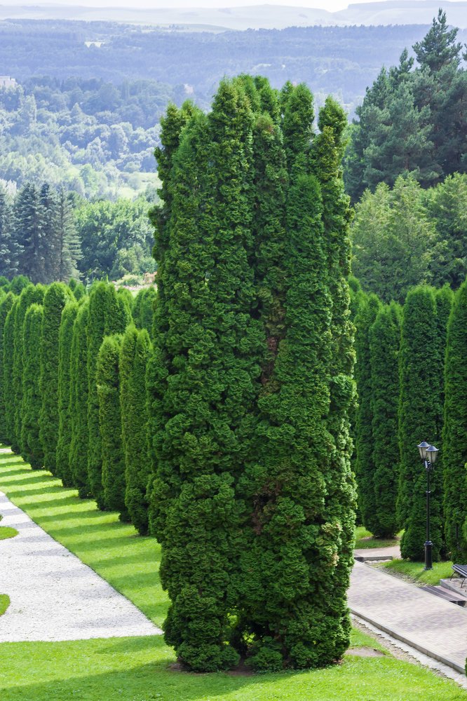 Photograph by Alexandr