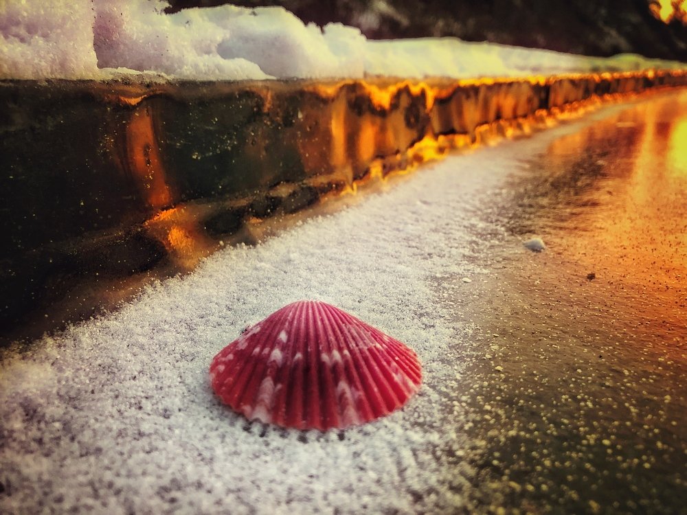 Photograph by Валентина Старикова