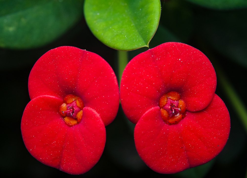 Photograph by Nghiem Khoa