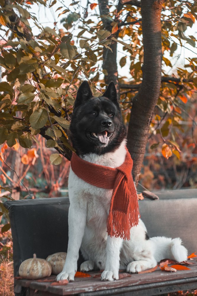 Photograph by Кристина Чижмар