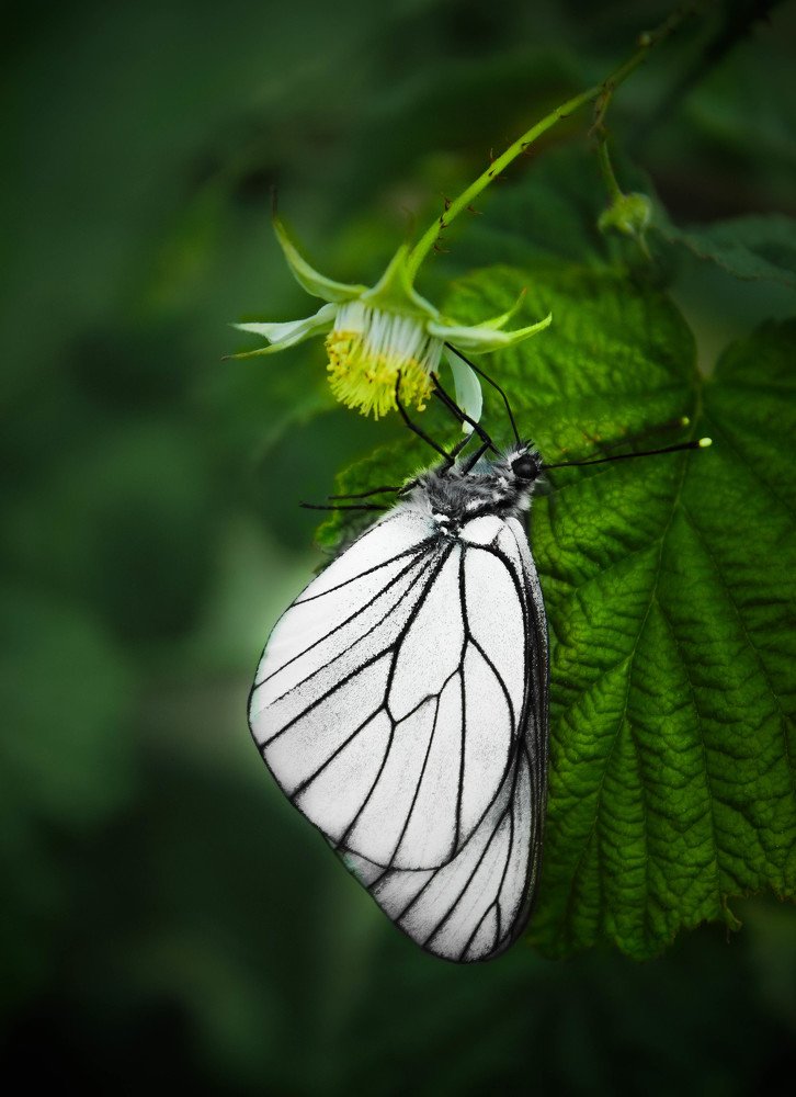 Photograph by Alexandra Chalova