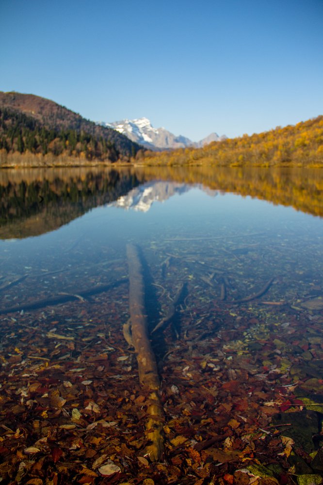 Фотография автора Андрей Болотин