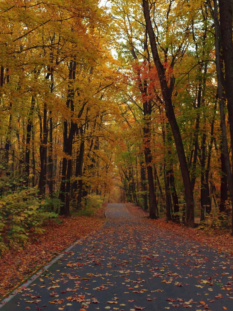 Photograph by Андрей Ляпин