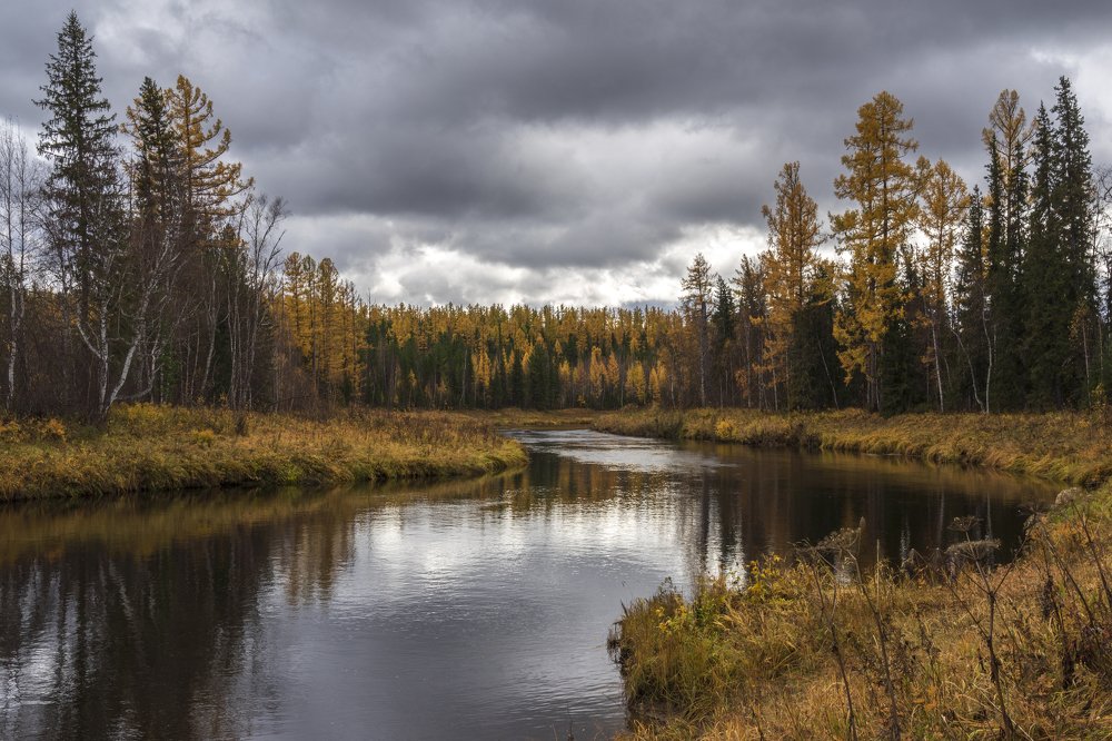 Таёжная река
