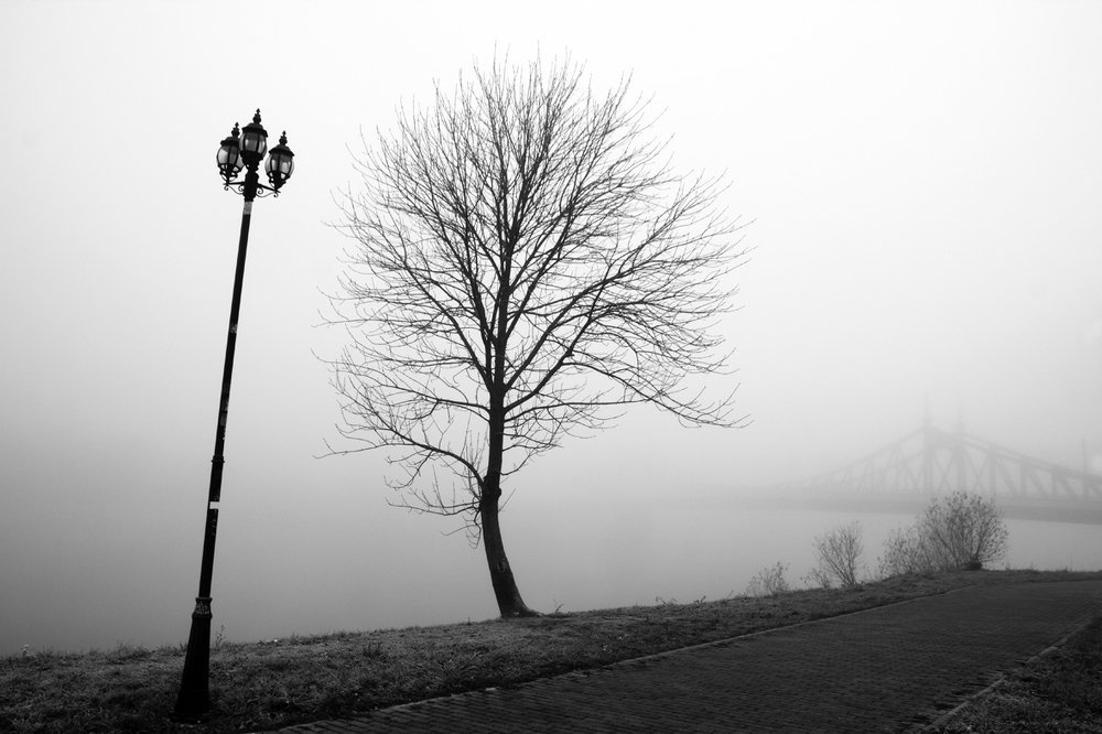 Фотография автора Ирина