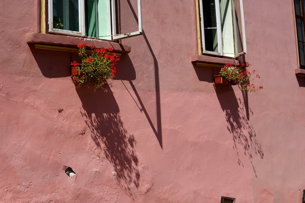 Photograph by Dzianis Mizhui