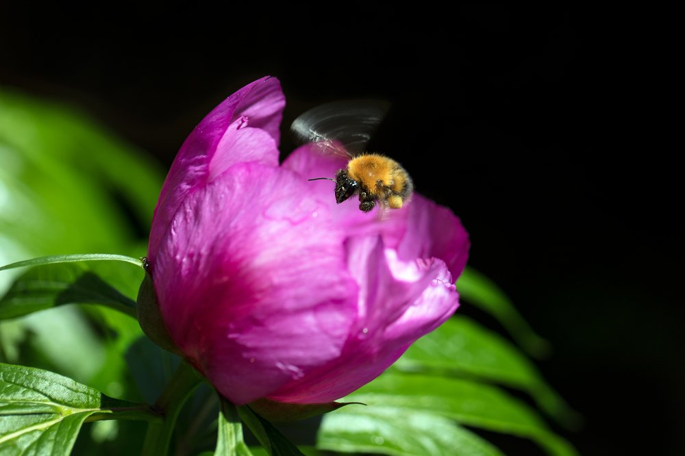 Photograph by Дериглазова Марина Владимировна