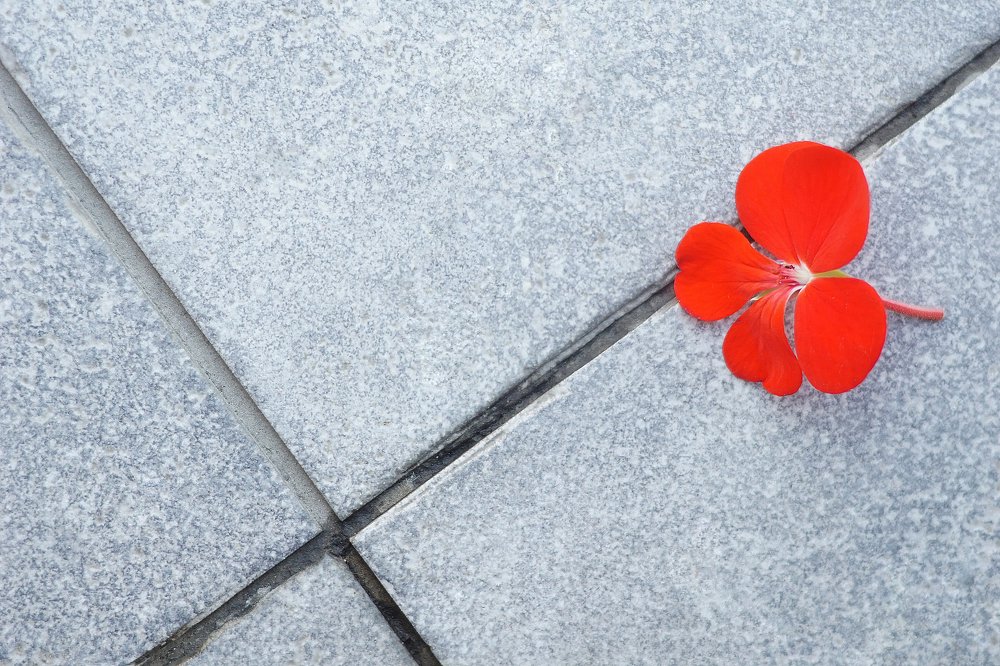 Photograph by Светлана Ульянова