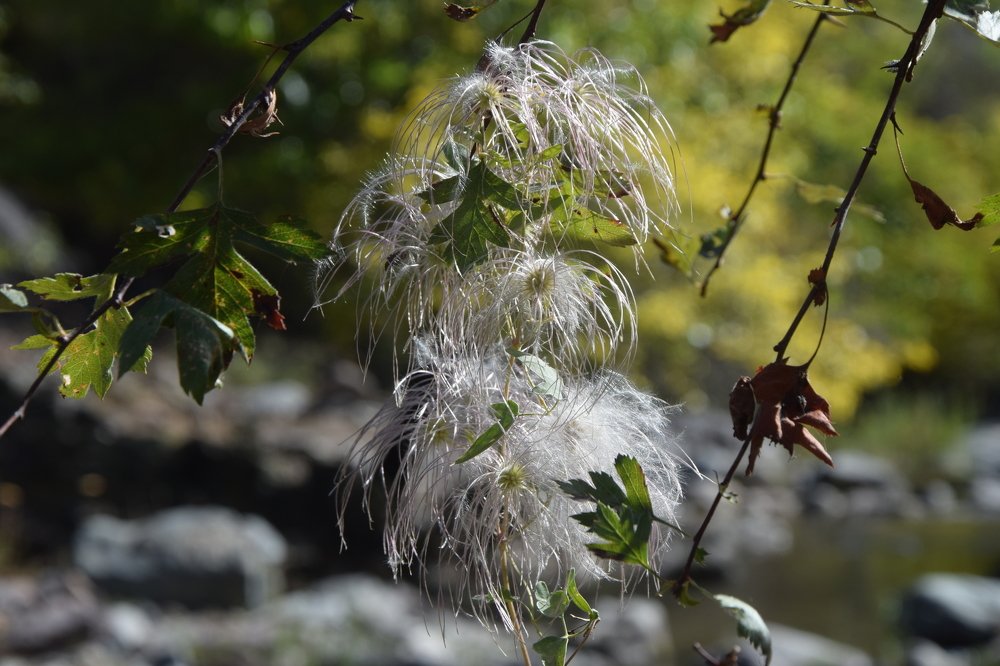 Photograph by Марина Белькова