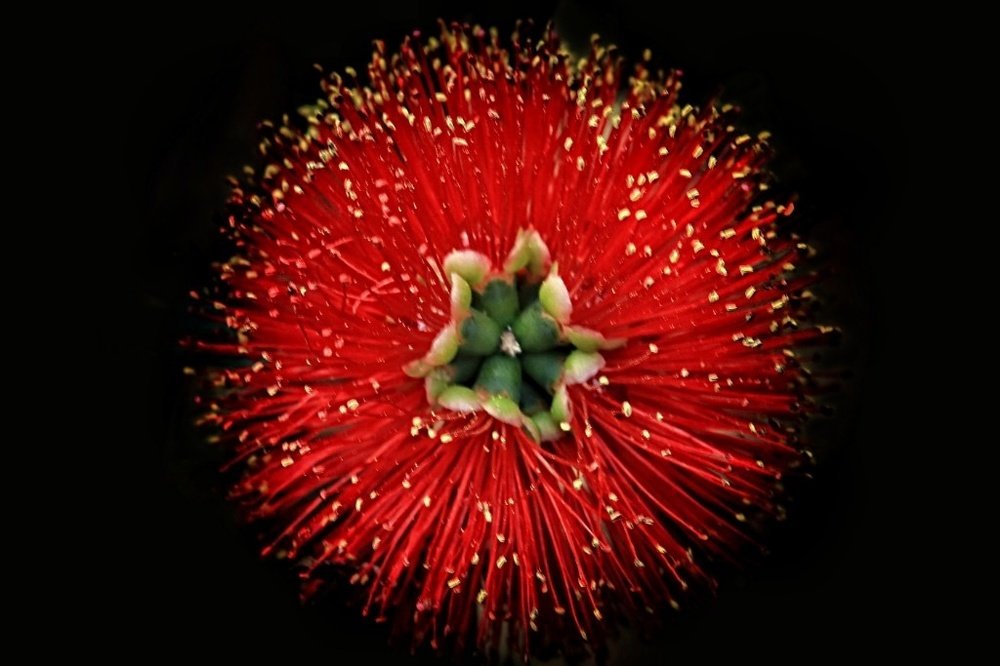 Photograph by  Edi Hidayat